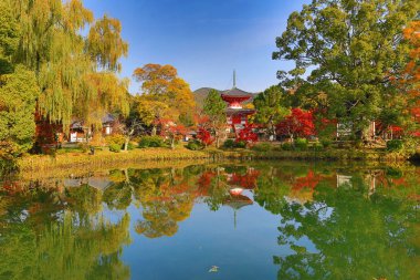 Sonbahar sezonu kyoto, daikakuji