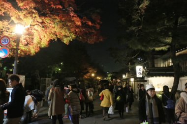 Sonbahar sezonu kodaiji gecenin 