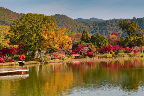 Daikakuji at fall season kyoto — Stock Photo, Image