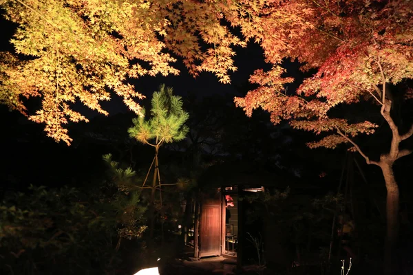 Estação de outono de noite kodaiji — Fotografia de Stock