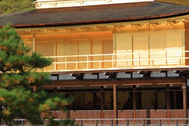Altın köşk kinkakuji Tapınağı, kyoto, Japonya