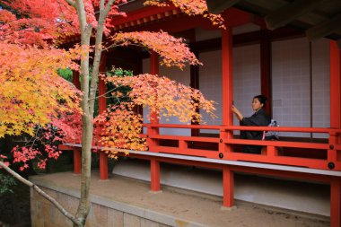  Daikaku-ji, kyoto iç
