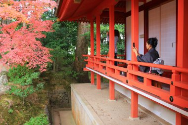  Daikaku-ji, kyoto iç