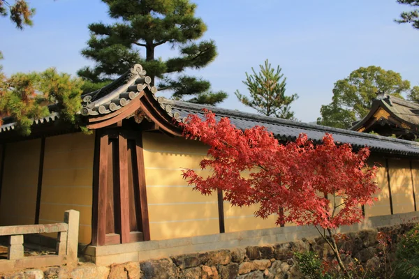 Daikaku-ji, kyoto — Fotografia de Stock