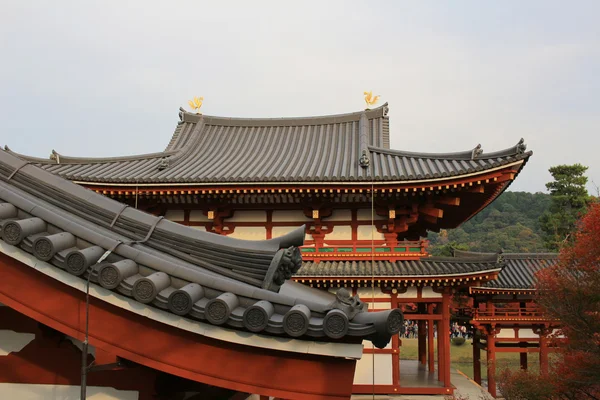 Byodo-in tempel — Stockfoto