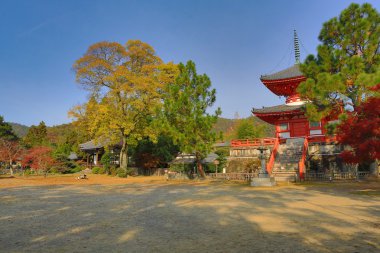 Bahçe, Daikaku-ji, kyoto