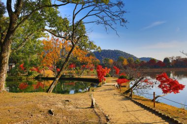 Sonbahar sezonu kyoto, daikakuji