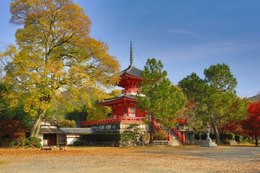 Daikaku-ji, kyoto
