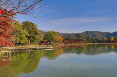 Sonbahar sezonu kyoto, daikakuji