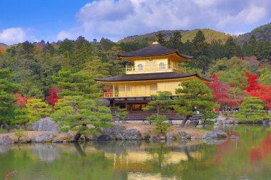 Sonbahar sezonu Kinkaku-ji Zen Budist tapınağı