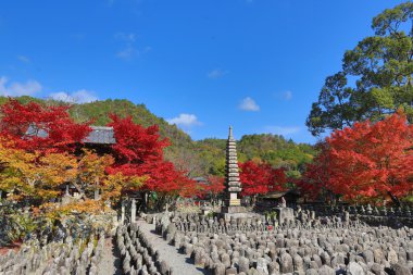 Sonbahar yaprakları, Adashino anlayışımız-ji Buda heykelinin
