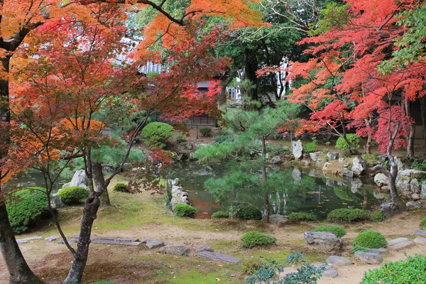 Bahçe, Daikaku-ji, kyoto — Stok fotoğraf