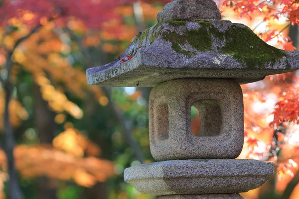 Een stenen lantaarns in kyoto — Stockfoto