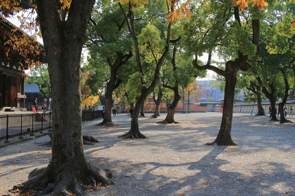 東寺の木造建築 — ストック写真