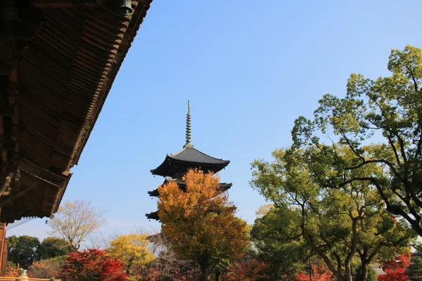 A torre de madeira do Templo de To-ji — Fotografia de Stock