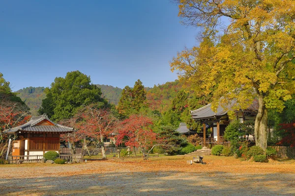 Bahçe, Daikaku-ji, kyoto