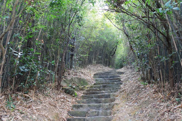 Camino de la naturaleza en hk —  Fotos de Stock