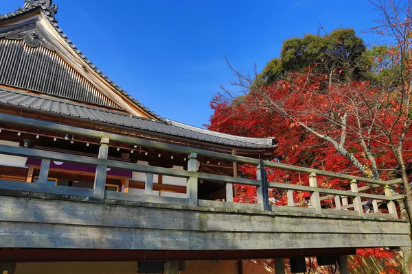 Daikaku-ji, kyoto — Stock Photo, Image