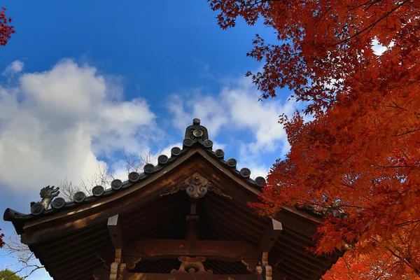 金秋时节的 Jojakukoji 寺 — 图库照片