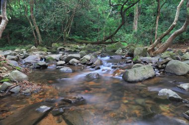  Şing Mun depo, Brook Reservoir