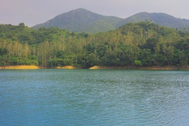 Şing Mun, güzel rezervuar