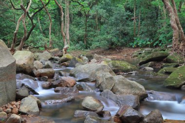  Şing Mun depo, Brook Reservoir