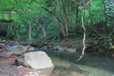 Depo, Şing Mun rezervuar tahammül