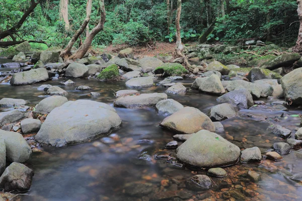 Brook em reservatório, Shing Mun reservatório — Fotografia de Stock