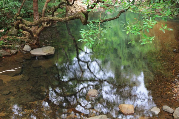 Şing Mun depo, Brook Reservoir — Stok fotoğraf