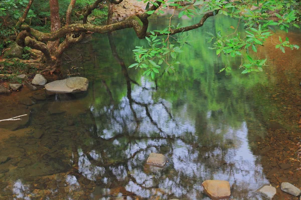 Ruscello in serbatoio, serbatoio Shing Mun — Foto Stock