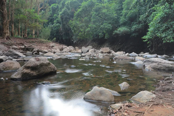 Shing Mun reservoir, Brook in reservoir — Stockfoto