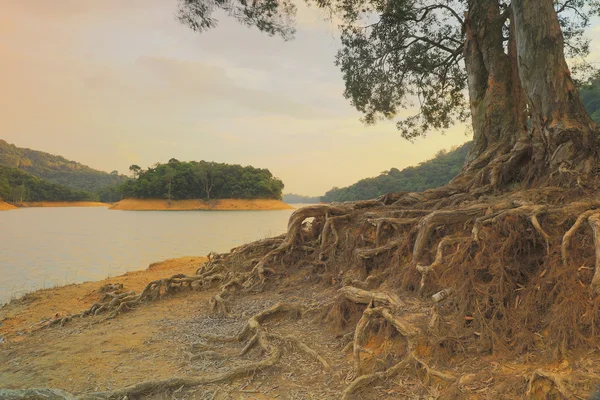 Reservatório de Hong Kong Shing Mun no outono 2016 — Fotografia de Stock