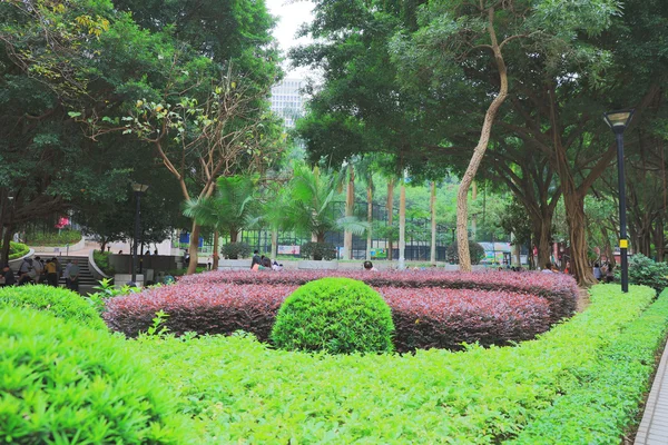 Jardim comunitário do Parque Wan Chai — Fotografia de Stock