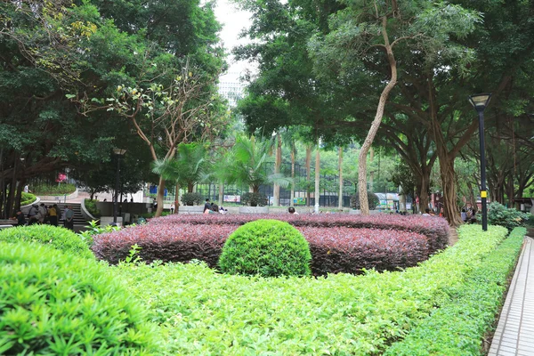 Wan Chai 공원 커뮤니티 가든 — 스톡 사진