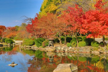 Kyoto Bahçe için-ji Tapınağı