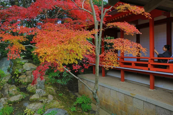 京都大覚寺の奥 — ストック写真