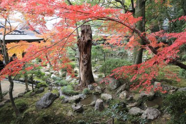 Garden of Byodo-in Temple in Kyoto, Japan clipart