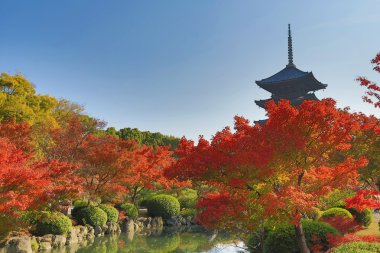 ji için pagoda Kyoto, Japonya sonbahar mevsiminde.