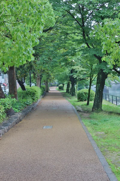 Camino de Piedra en el Parque Verde —  Fotos de Stock