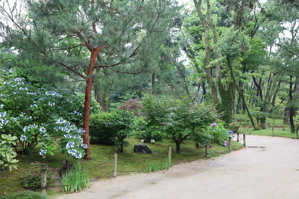 Сад в японском стиле "Шукхэн" — стоковое фото