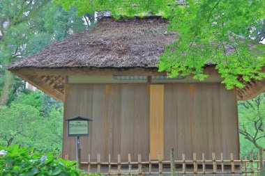 hoş Japon tarzı Bahçe 2016