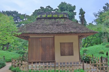 hoş Japon tarzı Bahçe 2016