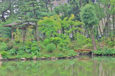 Hiroşima, Japonya bahçede. Shukkeien 