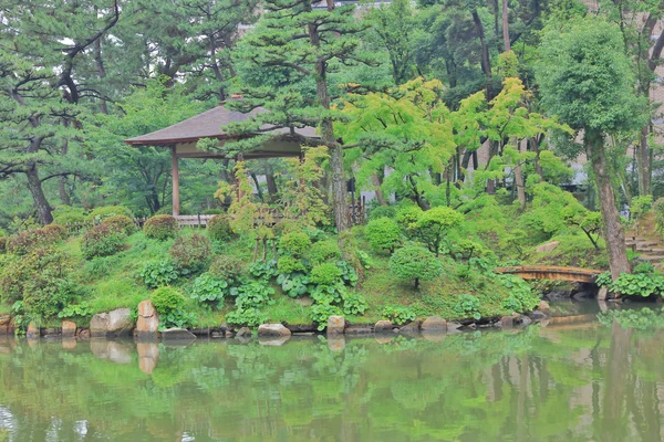 Приємний японський сад стиля 2016 — стокове фото