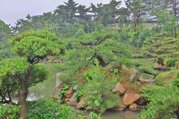 De tuin in Hiroshima, Japan. Shukkeien — Stockfoto