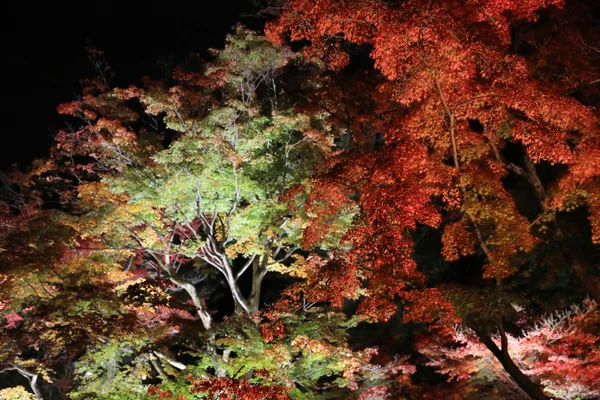 Estação de outono de noite kodaiji — Fotografia de Stock