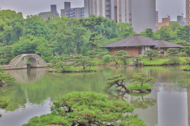 hoş Japon tarzı Bahçe 2016