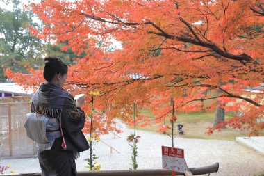 Byodo bahçe içinde tapınak Kyoto, Japonya