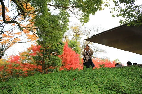 Jardim do Templo Byodo-in em Kyoto, Japão — Fotografia de Stock