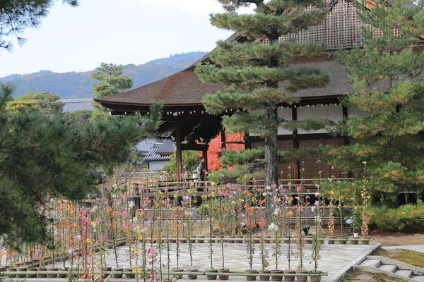Daikaku-ji, kyoto — Photo